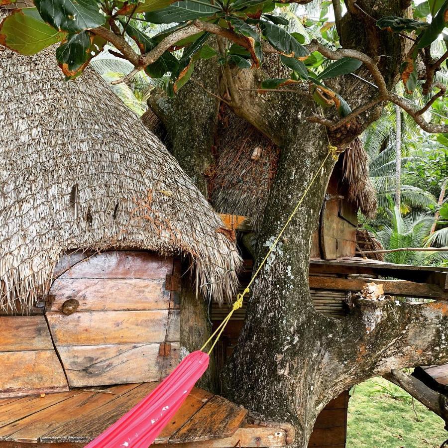 Ensuenos Natural Reserve Little Corn Island Nicaragua Extérieur photo