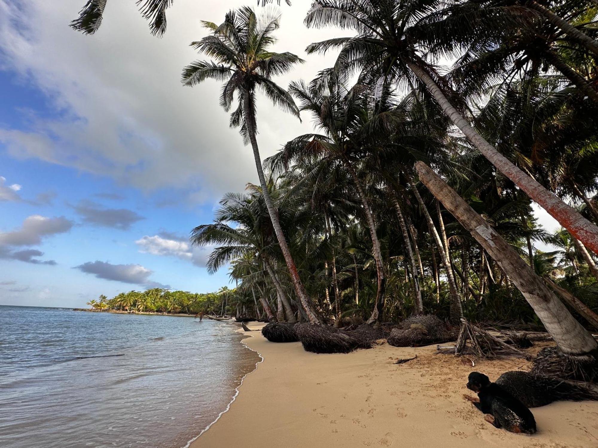 Ensuenos Natural Reserve Little Corn Island Nicaragua Extérieur photo